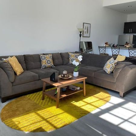 Cozy, High Rise, Large Studio Facing Downtown . Lejlighed Baltimore Eksteriør billede